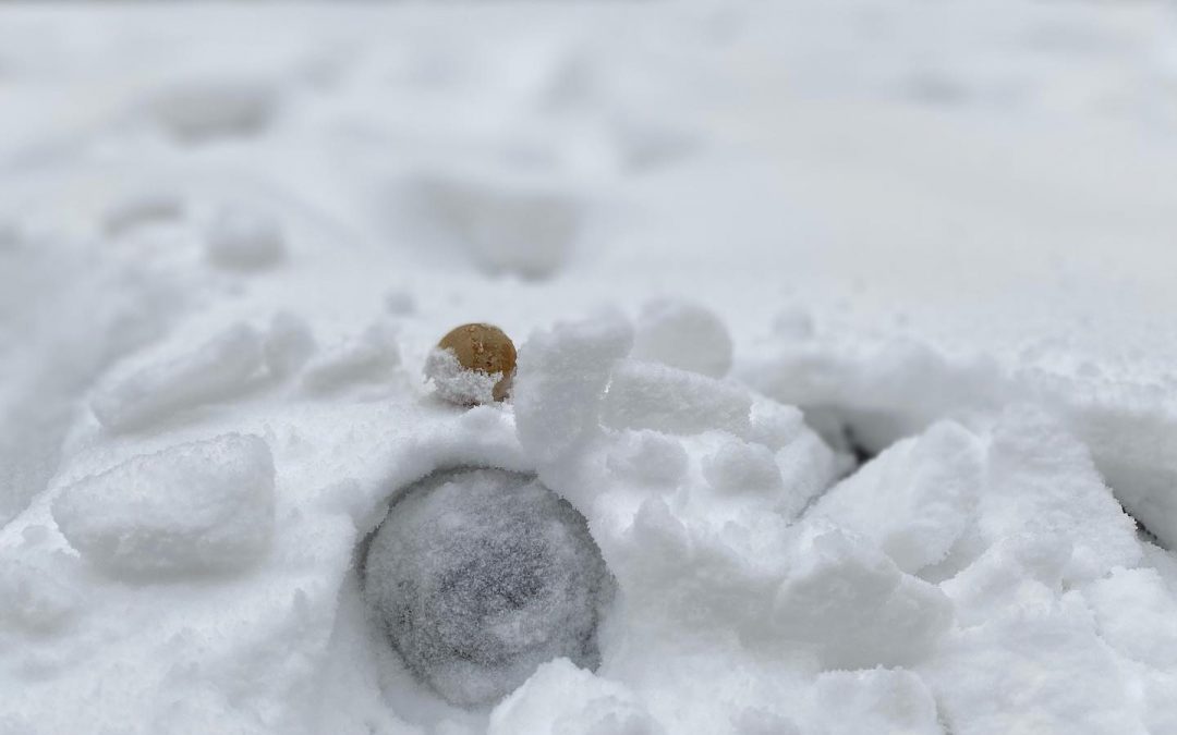 #SnowDeBoules: Heb jij al in de sneeuw gebouled?